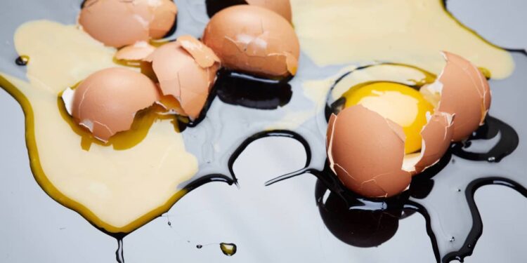 Police hatch a plan after ‘eggsplosive’ attack on speed camera car