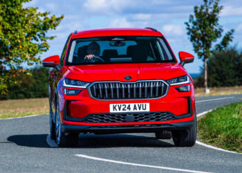 Some Chinese car brands are doomed to disappear, warns Skoda boss