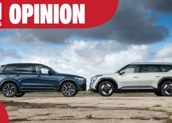 Petrol or electric? The answer depends on you