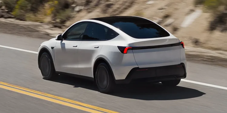 Tesla small SUV to rival BYD Atto 2 back in development – report