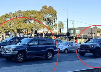 ‘Fine them more’: Road safety expert targets large SUVs and utes
